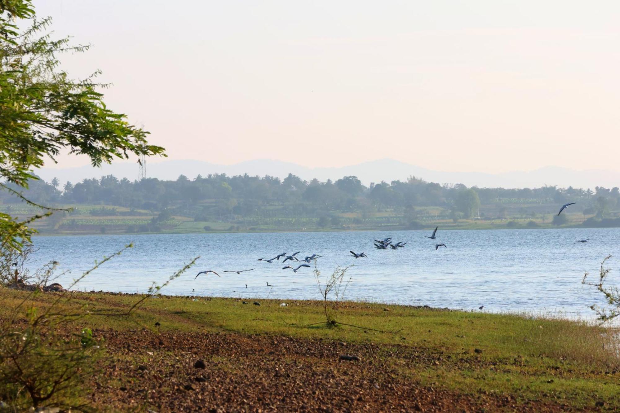 Arasu Homestay Antharasanthe Esterno foto